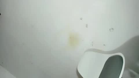 Shivani online show from 12.21.25