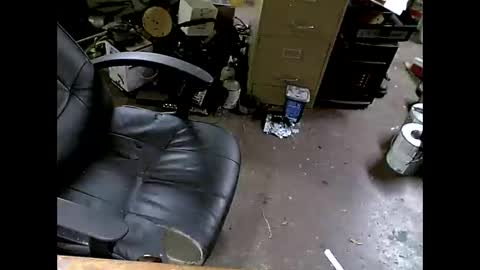 Shoani online show from 11.08.25