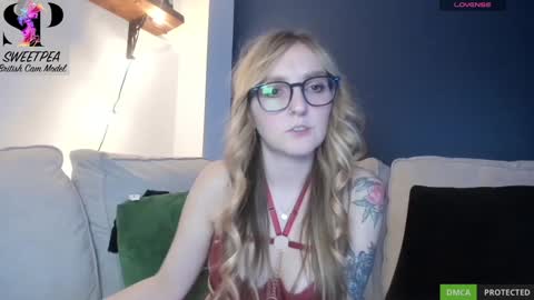 short sweetpea online show from 12.16.24