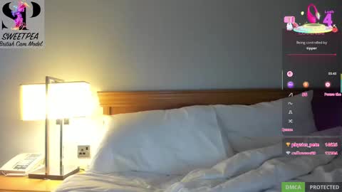 short sweetpea online show from 03.01.25