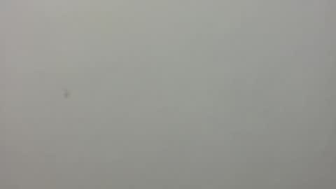 show_on_for_you online show from 03.24.26