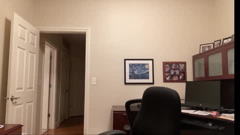 Chicago Guy online show from 09.25.25