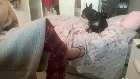 shyboy0533 online show from 11.03.25