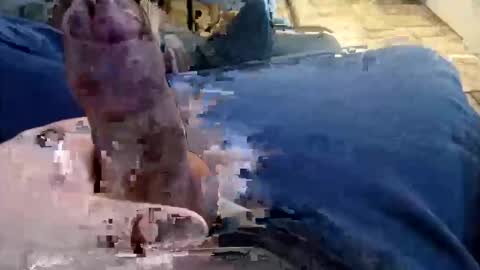 shynessy online show from 12.15.25