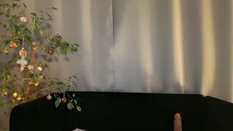 Amelia online show from 12.23.24