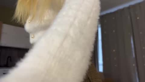 Aurora online show from 10.12.25