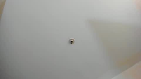 silvabranko online show from 11.02.25