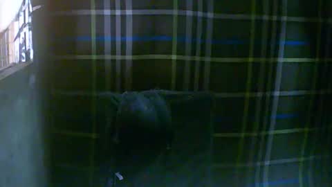 Snapshot of simply__me chatting on 02.16.26 simply__me online show from 02.16.26