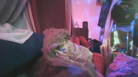 Siofra online show from 02.24.25