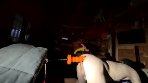 sirtoke710 online show from 04.11.26