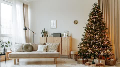 Elise online show from 12.19.24