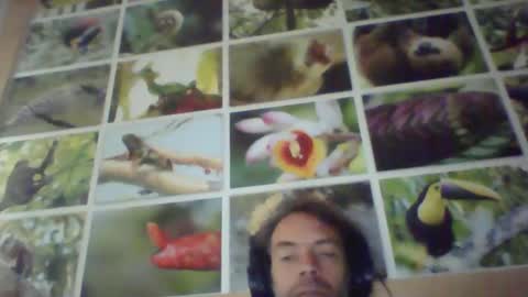 sji123 online show from 02.22.25