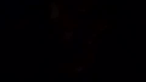 BEEF online show from 01.05.25