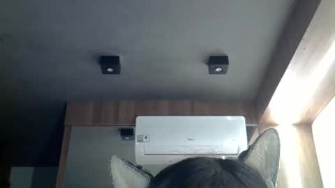 Snapshot of skinnykittencam chatting on 03.02.26 skinnykittencam online show from 03.02.26