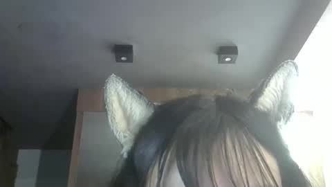 Snapshot of skinnykittencam chatting on 03.13.26 skinnykittencam online show from 03.13.26