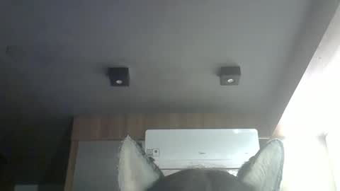 Snapshot of skinnykittencam chatting on 03.14.26 skinnykittencam online show from 03.14.26