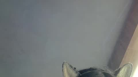 Snapshot of skinnykittencam chatting on 03.15.26 skinnykittencam online show from 03.15.26