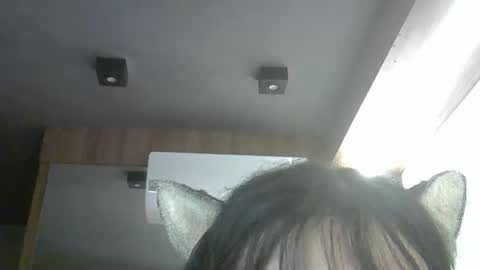 Snapshot of skinnykittencam chatting on 04.14.26 skinnykittencam online show from 04.14.26