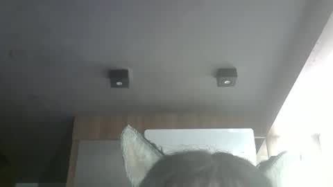 Snapshot of skinnykittencam chatting on 05.08.26 skinnykittencam online show from 05.08.26
