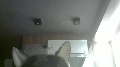 Snapshot of skinnykittencam chatting on 05.10.26 skinnykittencam online show from 05.10.26