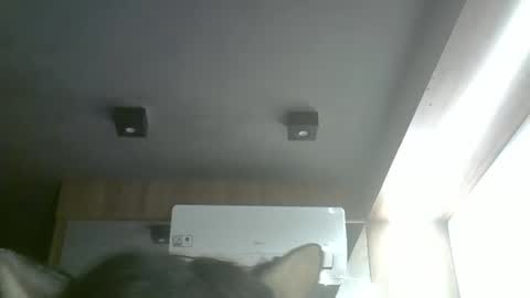 Snapshot of skinnykittencam chatting on 05.17.26 skinnykittencam online show from 05.17.26