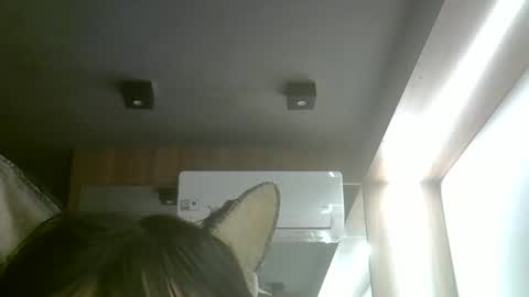 Snapshot of skinnykittencam chatting on 05.18.26 skinnykittencam online show from 05.18.26