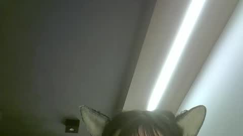 Snapshot of skinnykittencam chatting on 05.19.26 skinnykittencam online show from 05.19.26