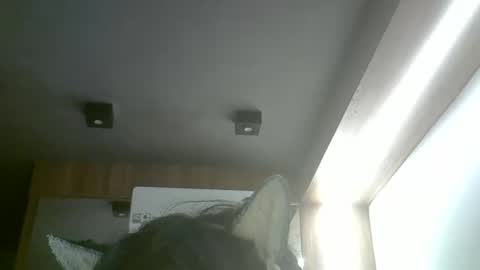 Snapshot of skinnykittencam chatting on 05.20.26 skinnykittencam online show from 05.20.26