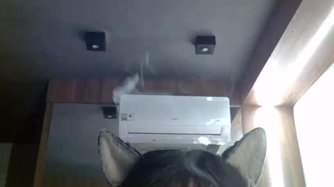Snapshot of skinnykittencam chatting on 05.20.26 skinnykittencam online show from 05.20.26
