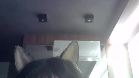 Snapshot of skinnykittencam chatting on 05.21.26 skinnykittencam online show from 05.21.26
