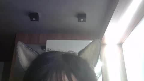 Snapshot of skinnykittencam chatting on 05.22.26 skinnykittencam online show from 05.22.26