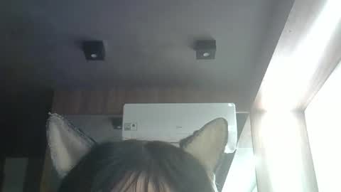 Snapshot of skinnykittencam chatting on 05.23.26 skinnykittencam online show from 05.23.26