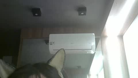 Snapshot of skinnykittencam chatting on 05.26.26 skinnykittencam online show from 05.26.26