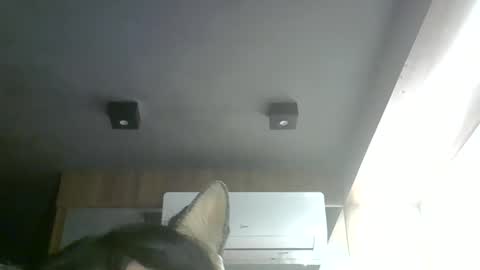 Snapshot of skinnykittencam chatting on 05.28.26 skinnykittencam online show from 05.28.26