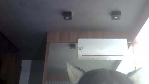Snapshot of skinnykittencam chatting on 05.30.26 skinnykittencam online show from 05.30.26