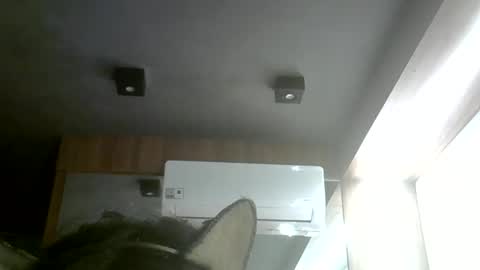 Snapshot of skinnykittencam chatting on 05.31.26 skinnykittencam online show from 05.31.26