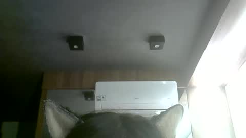 Snapshot of skinnykittencam chatting on 06.01.26 skinnykittencam online show from 06.01.26