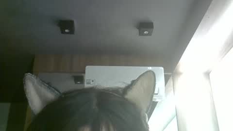 Snapshot of skinnykittencam chatting on 06.05.26 skinnykittencam online show from 06.05.26