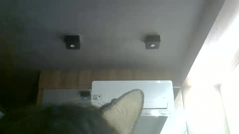 Snapshot of skinnykittencam chatting on 06.06.26 skinnykittencam online show from 06.06.26