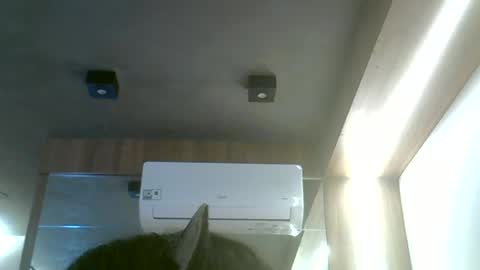 Snapshot of skinnykittencam chatting on 06.19.26 skinnykittencam online show from 06.19.26