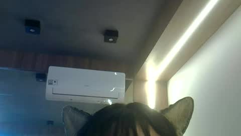 Snapshot of skinnykittencam chatting on 06.23.26 skinnykittencam online show from 06.23.26