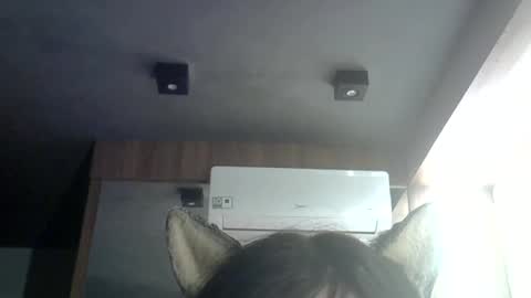 Snapshot of skinnykittencam chatting on 06.25.26 skinnykittencam online show from 06.25.26