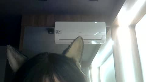 Snapshot of skinnykittencam chatting on 06.29.26 skinnykittencam online show from 06.29.26