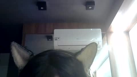Snapshot of skinnykittencam chatting on 07.03.26 skinnykittencam online show from 07.03.26