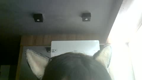 Snapshot of skinnykittencam chatting on 07.04.26 skinnykittencam online show from 07.04.26