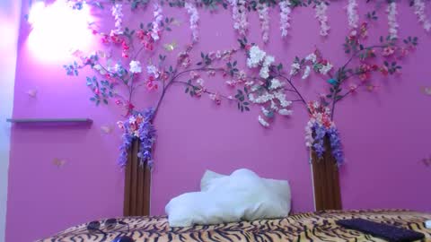 sofia online show from 02.05.26