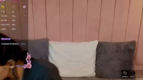 Snapshot of sky_fox_1 chatting on 01.20.25 STIVEN online show from 01.20.25