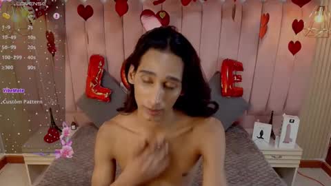 Snapshot of sky_fox_1 chatting on 02.17.25 STIVEN online show from 02.17.25