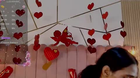 Snapshot of sky_fox_1 chatting on 02.17.25 STIVEN online show from 02.17.25