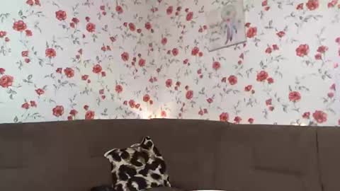 Sky online show from 12.10.24